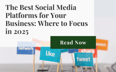 The Best Social Media Platforms for Your Business: Where to Focus in 2025