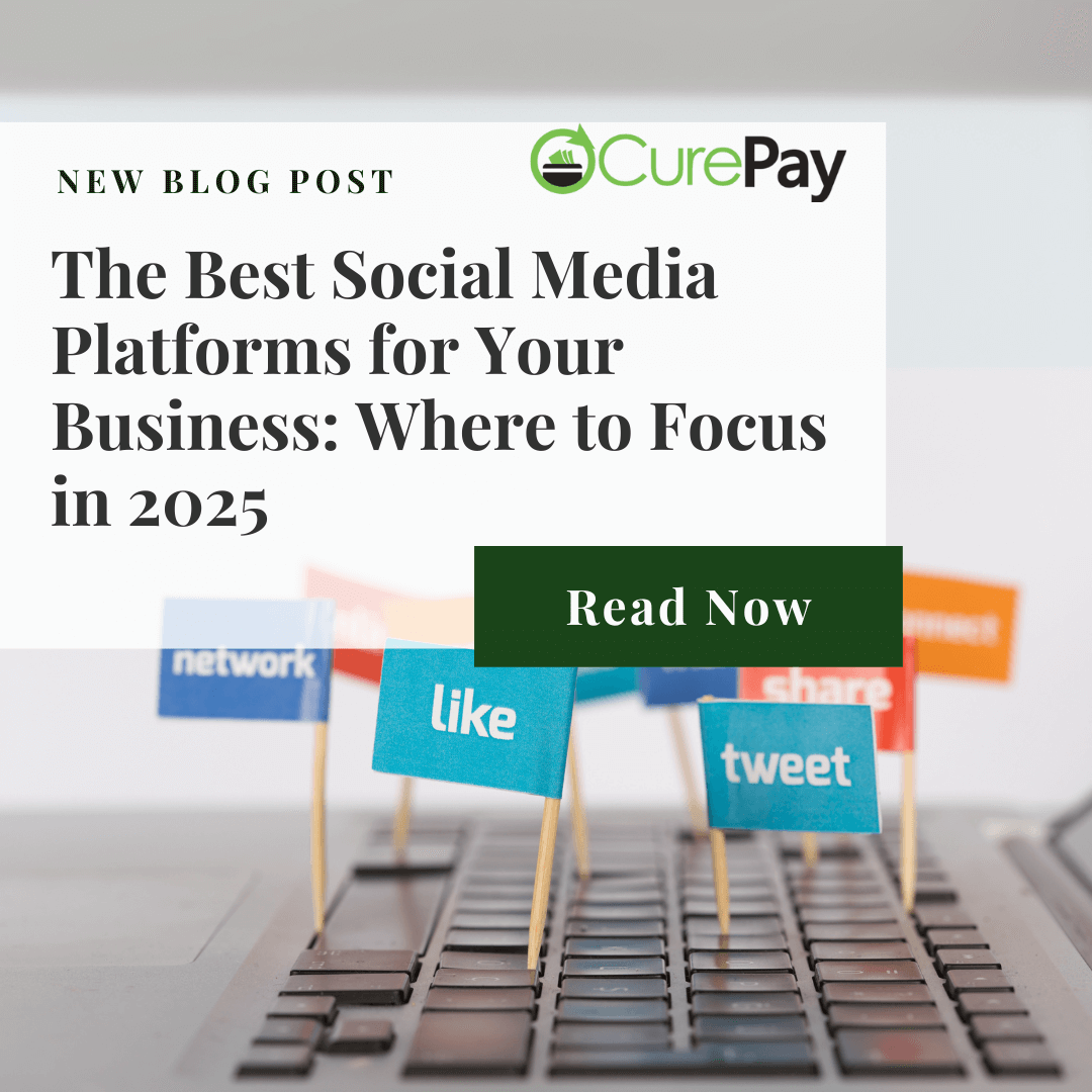 The Best Social Media Platforms for Your Business: Where to Focus in ...