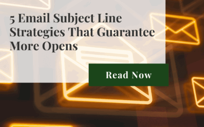 The Hidden Revenue in Your Email List: How to Generate Sales from Past Customers